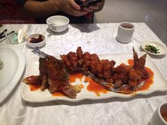 火龙鱼-东北人粗粮饺子坊(南山店)