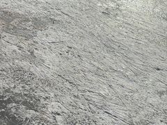 -前关湿地公园
