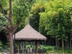 -兰亭风景区