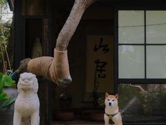 -上海鲜花港