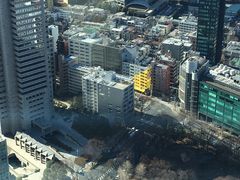 -东京都厅舍