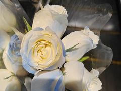 -循礼门鲜花花市(武汉循礼门店)