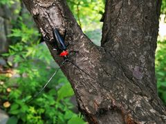 -阳台山自然风景区