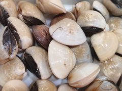 -老何家后安粉·糟粕醋海鲜火锅(三亚湾椰梦长廊店)