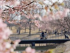 -上海辰山植物园