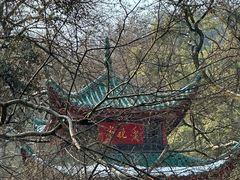 -岳麓山风景名胜区