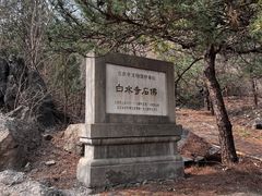 -白水寺森林公园