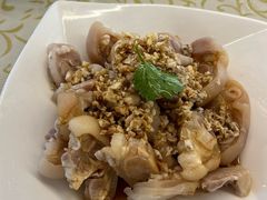 -百利鸽王(紫薇路店)