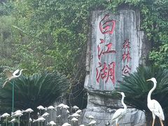 -广州白江湖森林公园