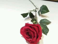 -美豪怡致酒店(上海长寿路店)