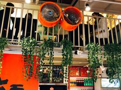 -大王油茶(二厂文创公园店)