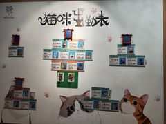 -MOCHA明星猫咖(田子坊店)