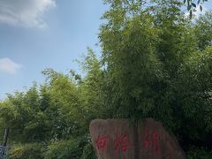 -白塔湖国家湿地公园
