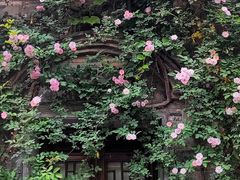 -老门东历史文化街区