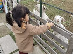 -菊园百果园