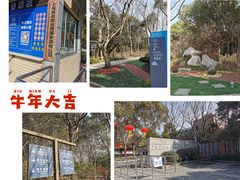 -上海吴淞炮台湾国家湿地公园