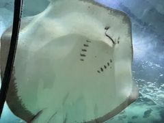 -苏州海洋馆