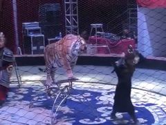 -广州长隆国际大马戏