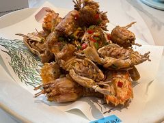 -小平岛開海水饺(浑南店)
