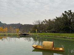 -千年银杏谷文化旅游区