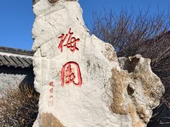 -梅园