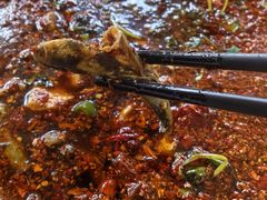 -胖大姐黄辣丁鱼庄(新津店)