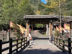 -姑婆山旅游区