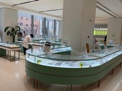 -东北大学附属辽宁爱尔眼科医院