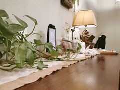 -春风·有糖(崇宁路店)