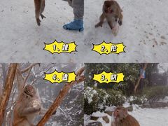 -庐山风景区花径公园