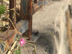 -京西十八潭风景区