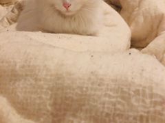 -小龙坎火锅(双林店)