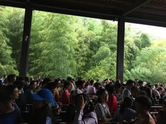 -天目湖南山竹海