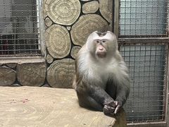 -黔灵山公园