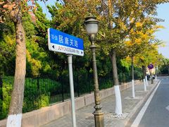 -八大关景区