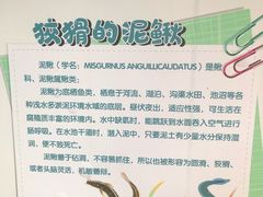 -麻涌飞鸭开心农场
