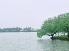 -贡湖湾湿地公园