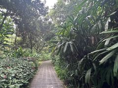 -深圳湾公园(南山区)