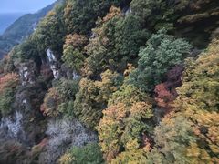 -驼梁风景区
