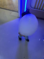 -万达宝贝王(三明店)