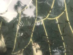-和顺柏联温泉