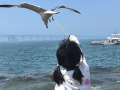 -星海广场