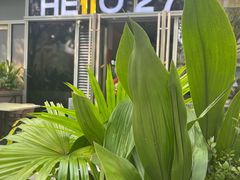 -HELLO 27 意面·沙拉·帕尼尼