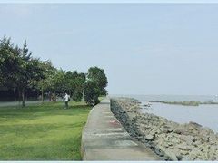 -野狸岛
