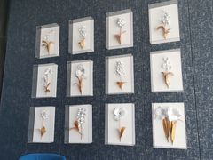 -海湾壹品·粤菜·早茶·烤鸭(拱北店)