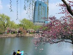 -无锡蠡湖国家湿地公园-蠡园