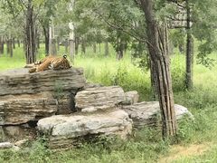 -秦皇岛野生动物园