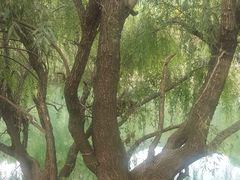 -贵阳市花溪国家城市湿地公园