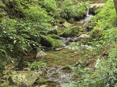 -莫干山风景区