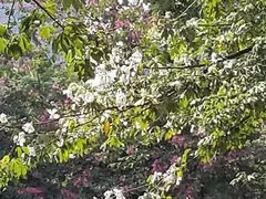 -海港城购物中心